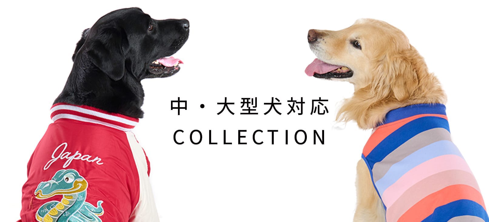 中・大型犬対応COLLECTION